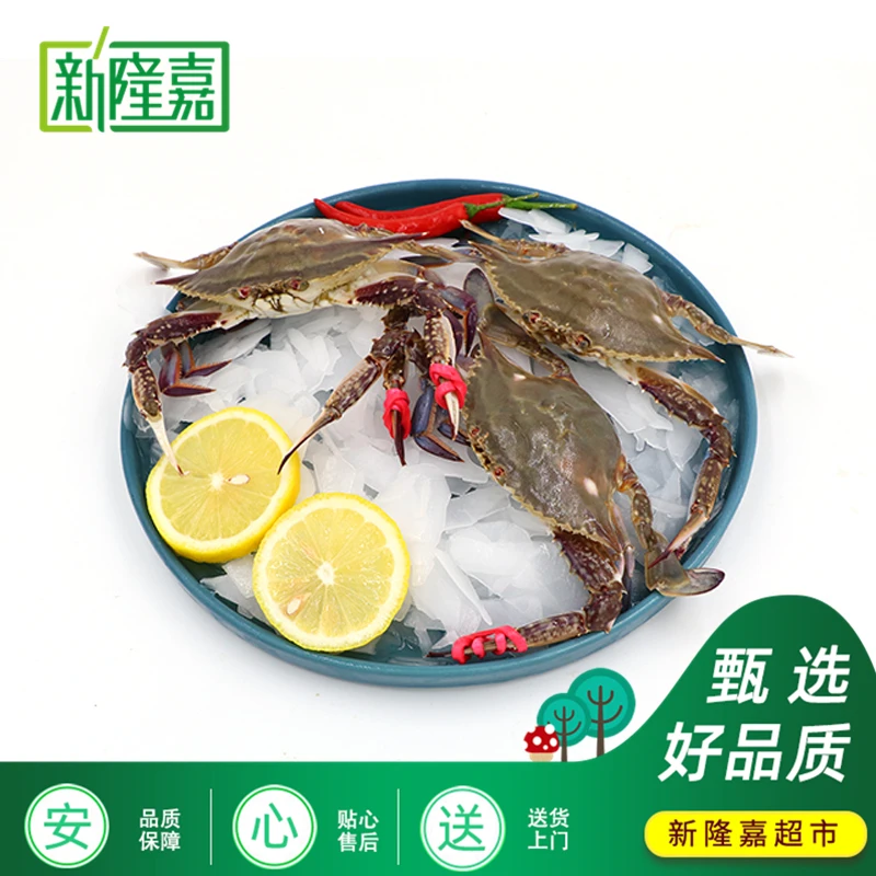 【天丰店新】鲜活东港飞蟹（保鲜不保活）500g/1kg所有商品带皮套称重