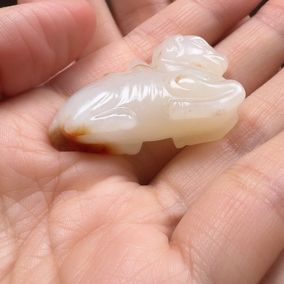 天***狼挂件挂件挂件挂件