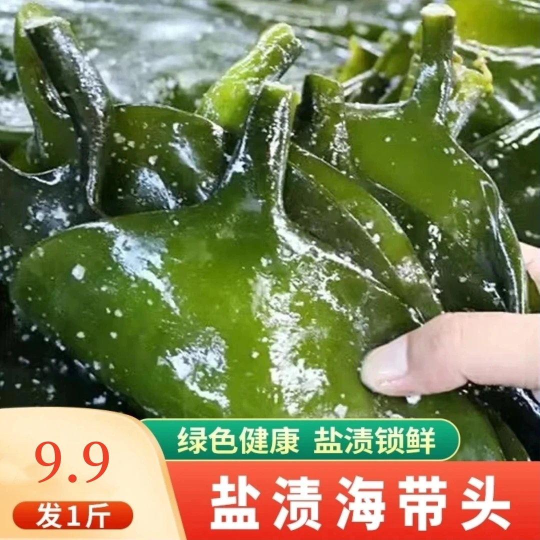【9，9发1斤】福建霞浦盐渍海带头炒菜煲汤500g/袋