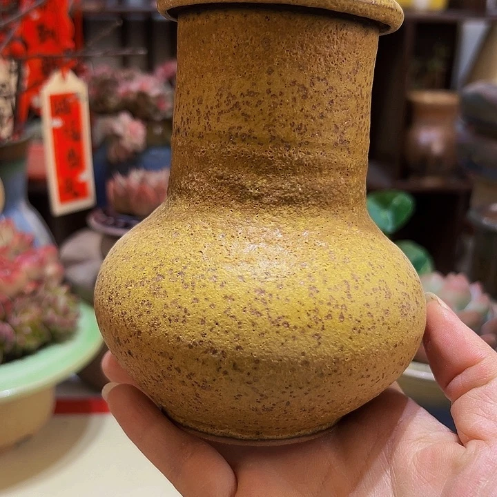 景德镇陶瓷2单包邮