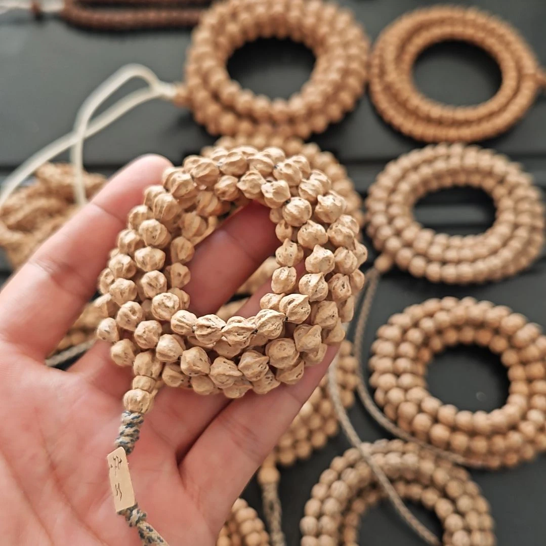 飞***1菩提龙骨热振柏香籽