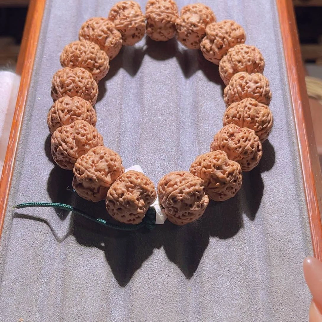 手串金刚菩提龙爪