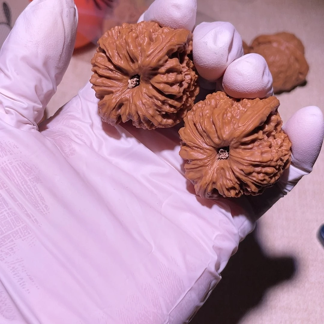 【闪购商品】39南江有黄