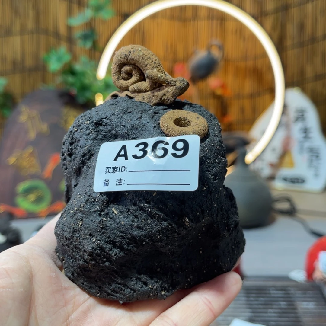 木村信鸿柴烧宝瓶