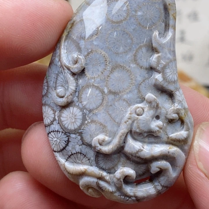 颈饰未镶嵌硅化珊瑚（珊瑚玉）