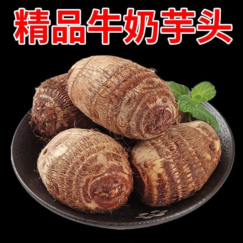 【主播推荐】贵州现挖新鲜小芋头牛奶毛芋头软糯粉香芋仔芋艿蔬菜