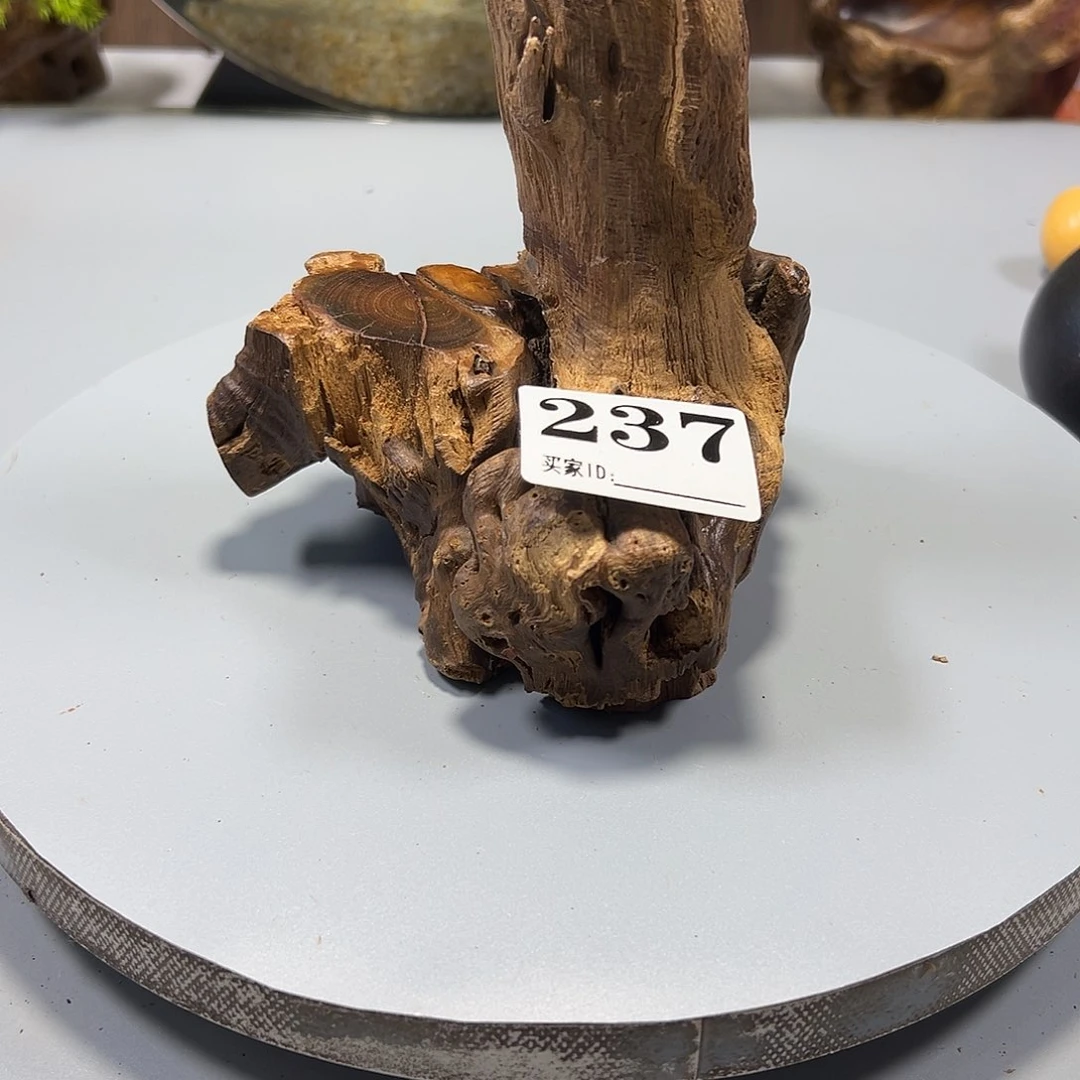 大果紫檀（缅甸花梨）8****8