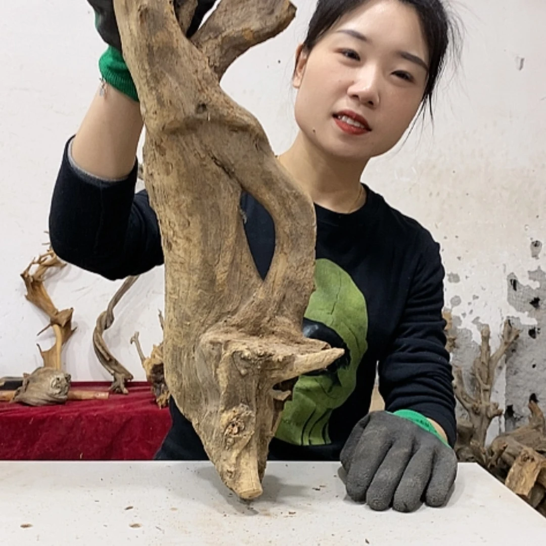 【闪购商品】柏木꧁****我们都是好孩子