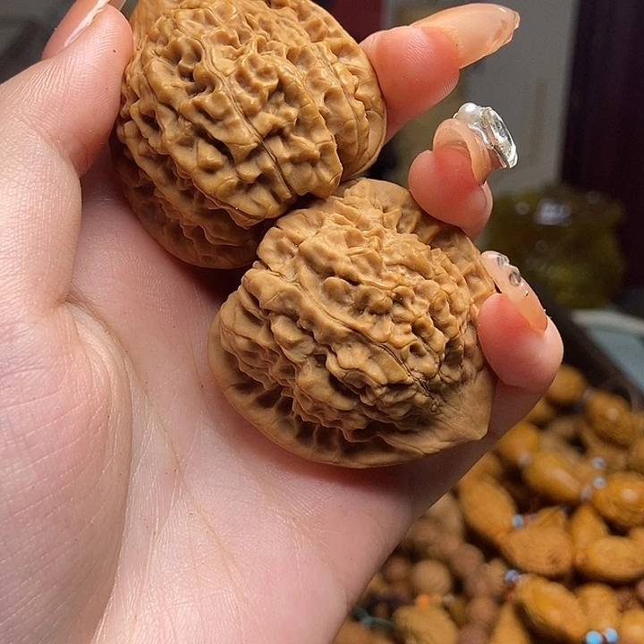 橄榄核手串/手链gvvvvbbbvbbbb