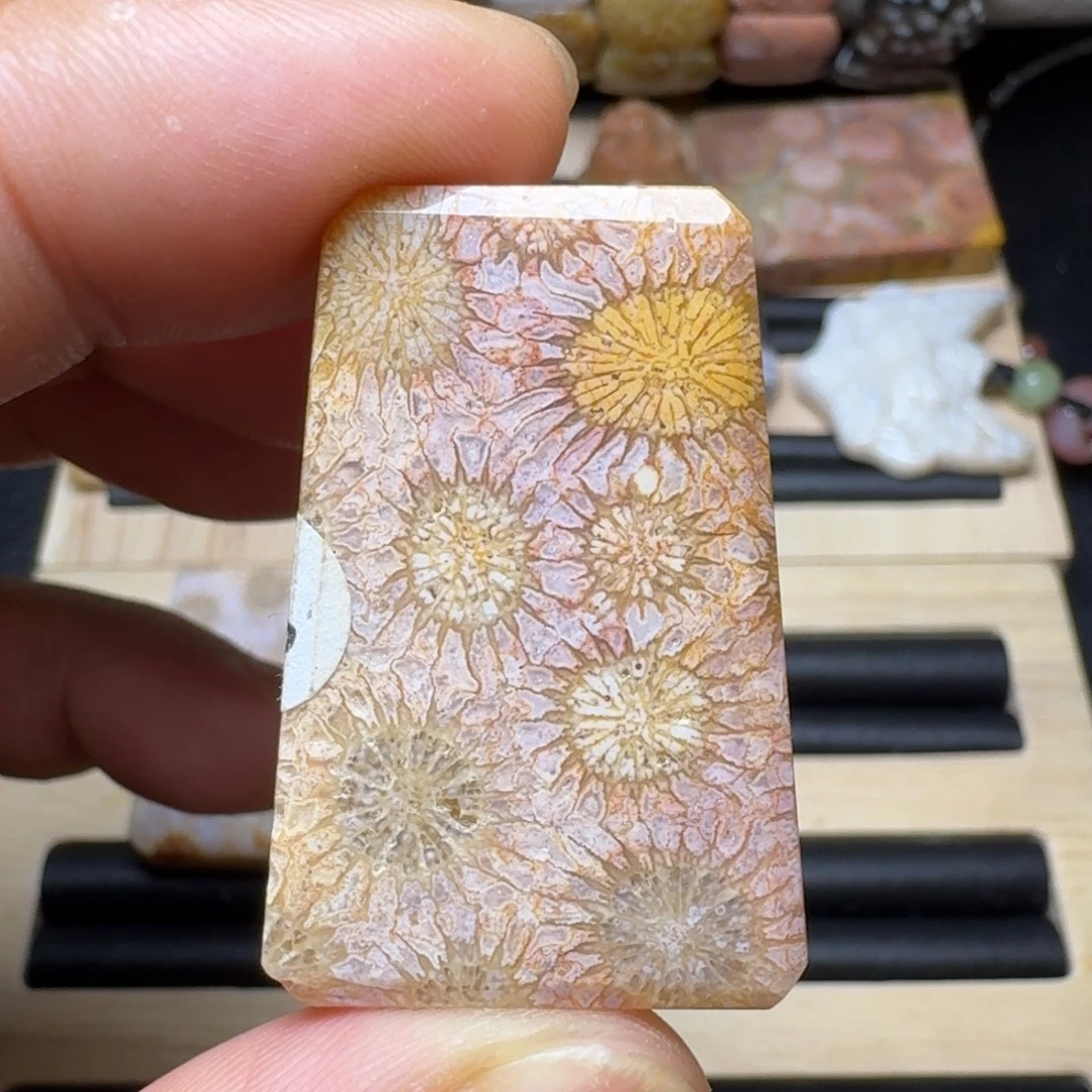 未镶嵌纯天然色有机玉石保真色硅化玉