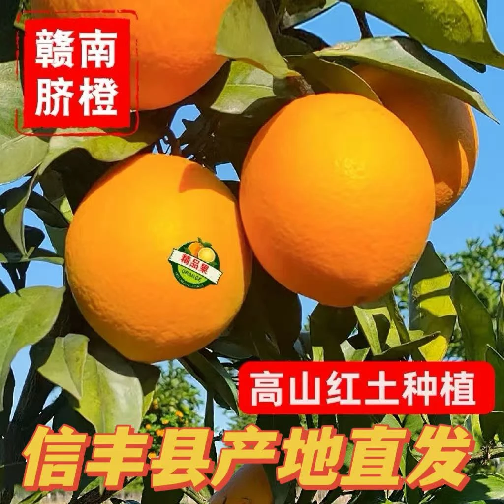 赣南脐橙正宗信丰脐橙江西原产地直发橙子新鲜现摘现发礼盒装送礼