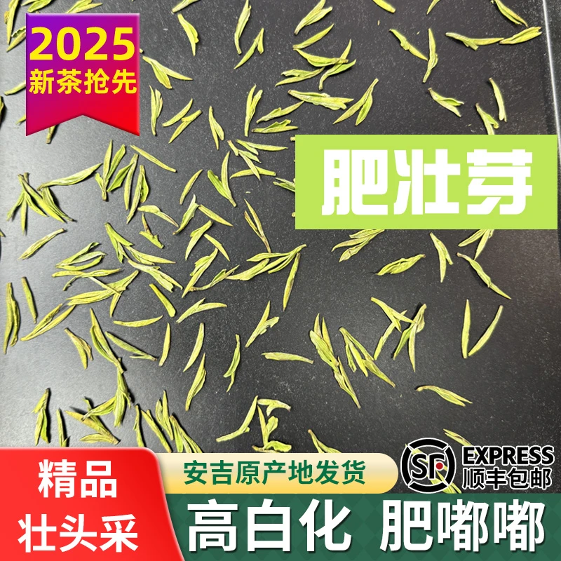 【精品壮头采】小芽安吉原产地兰香2025新茶茶厂白茶