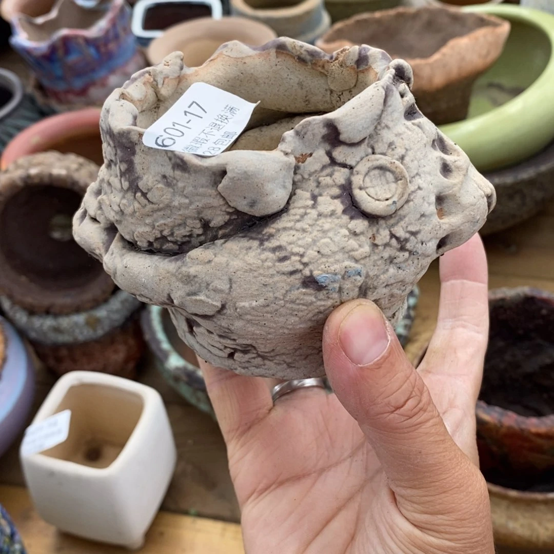 德*17号多肉盆口径6.5