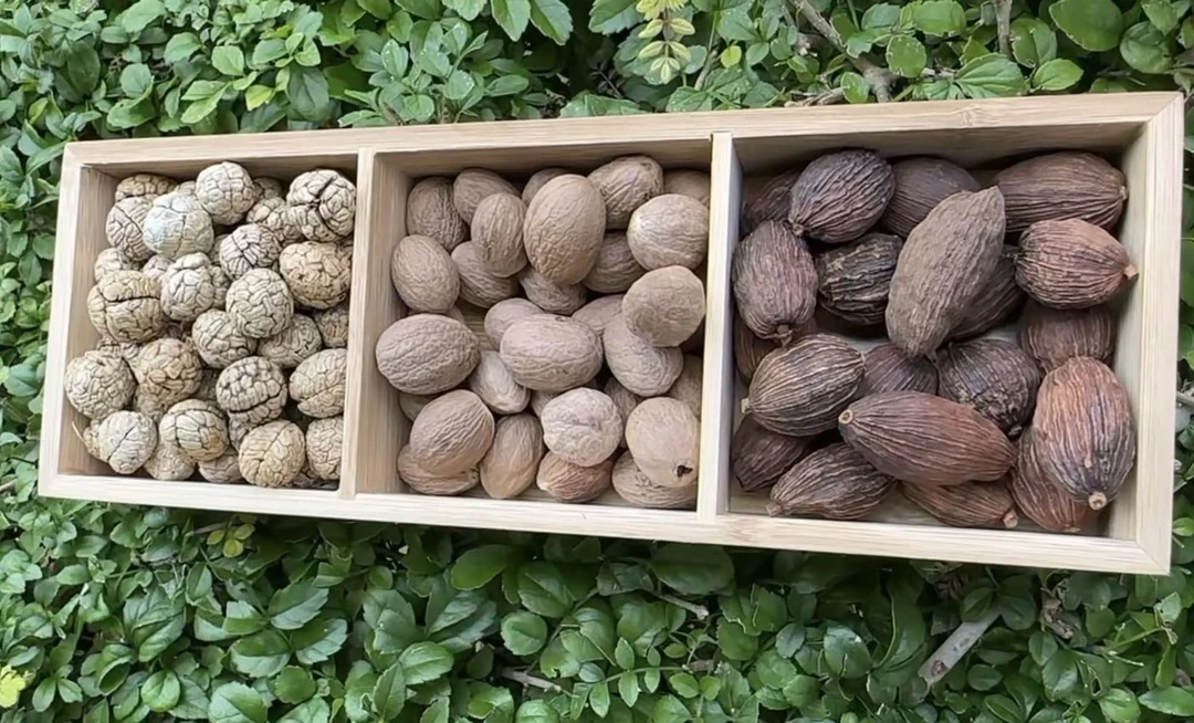 123号链接 草蔻肉蔻草果卤肉炖肉三剑客 多规格可选