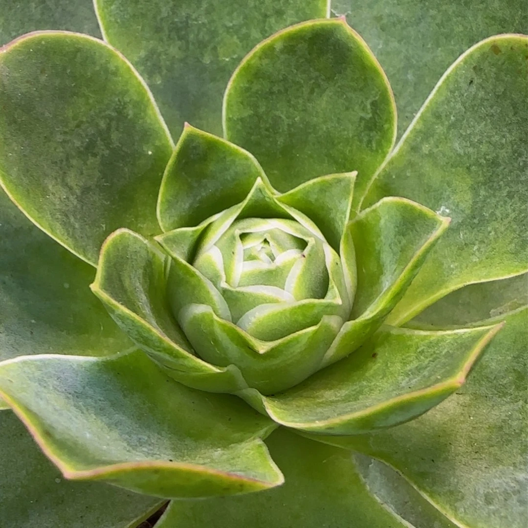 福利135686724686834736