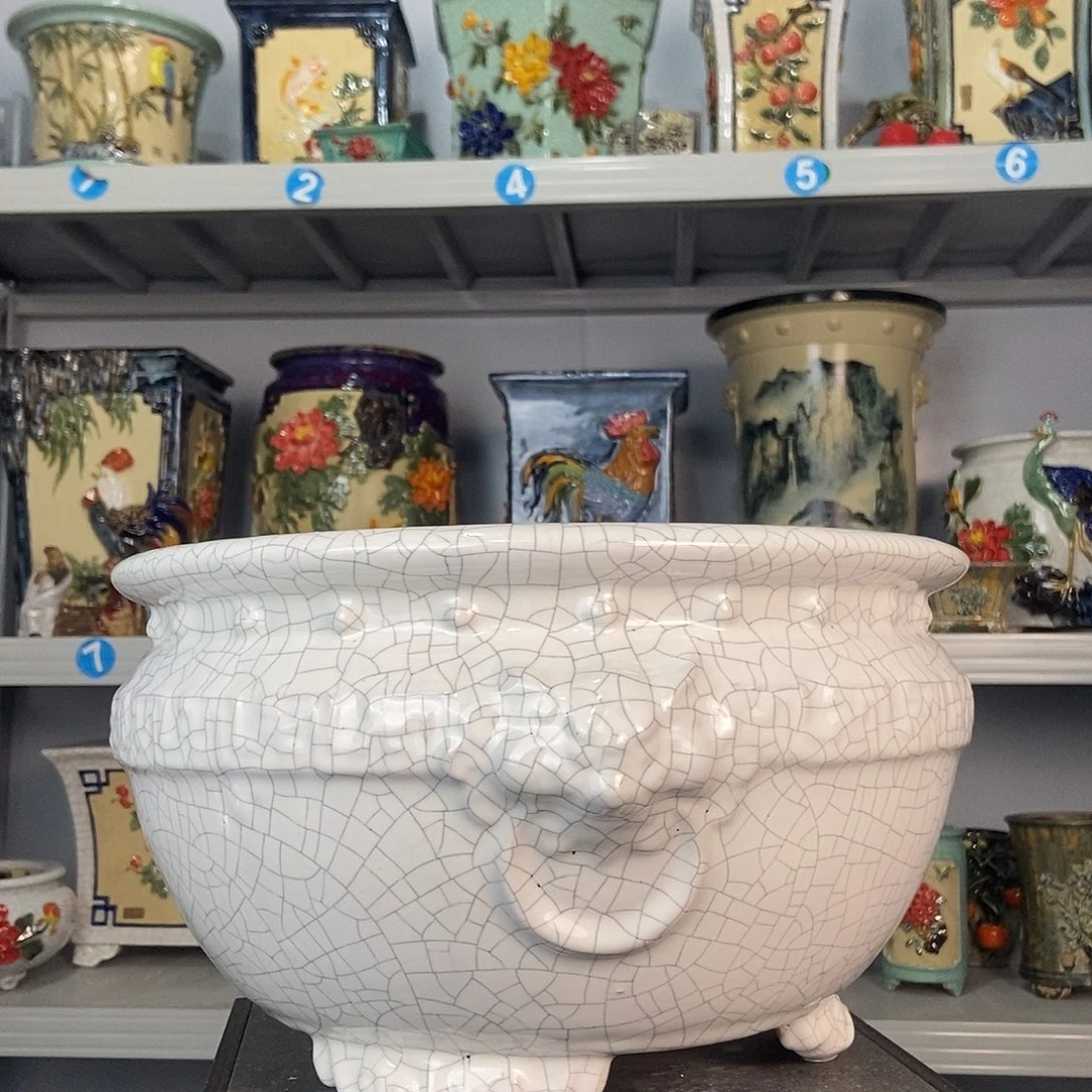 鹤***杨啊啊啊啊啊啊啊啊啊啊啊啊啊