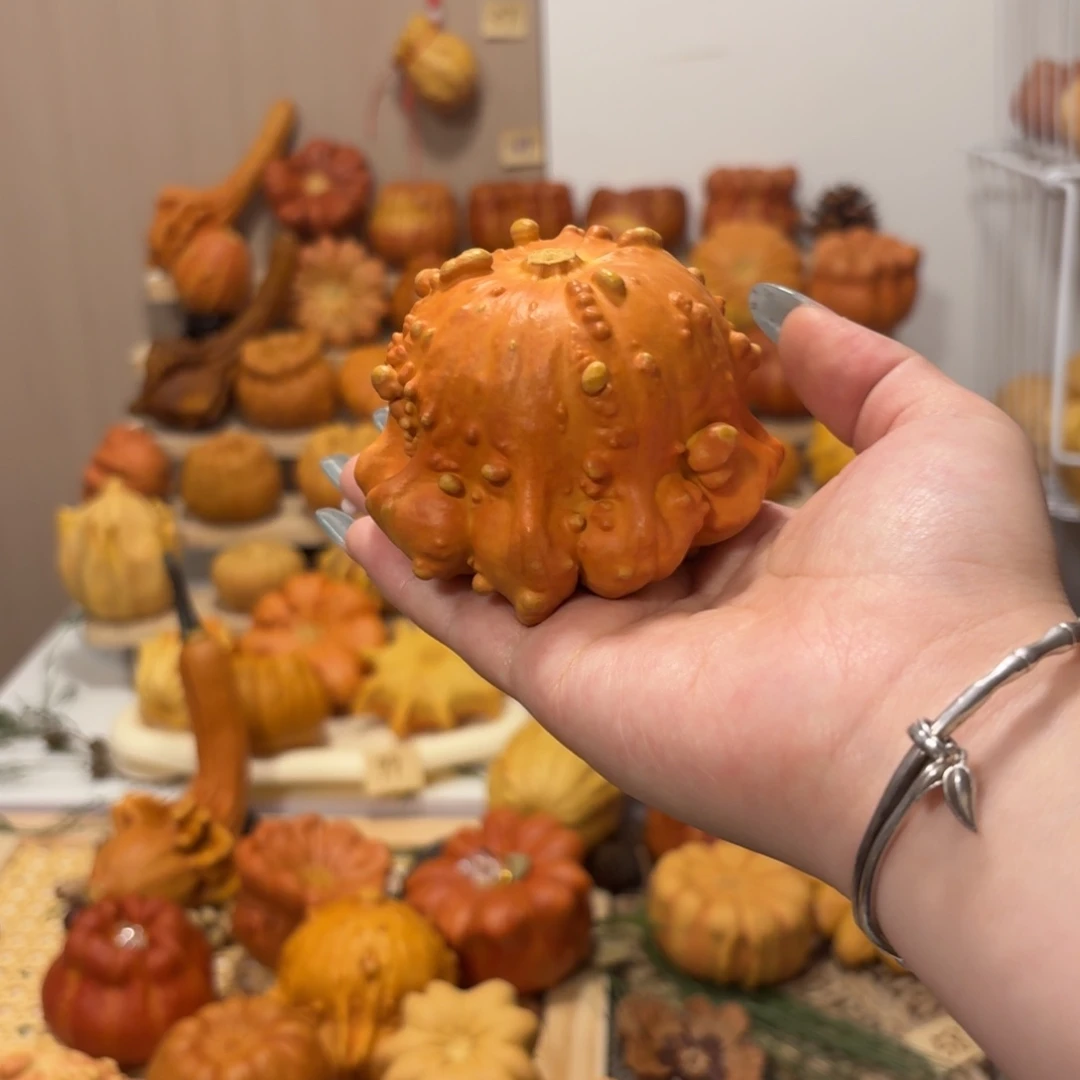 墨西哥葫芦爆疙瘩章鱼