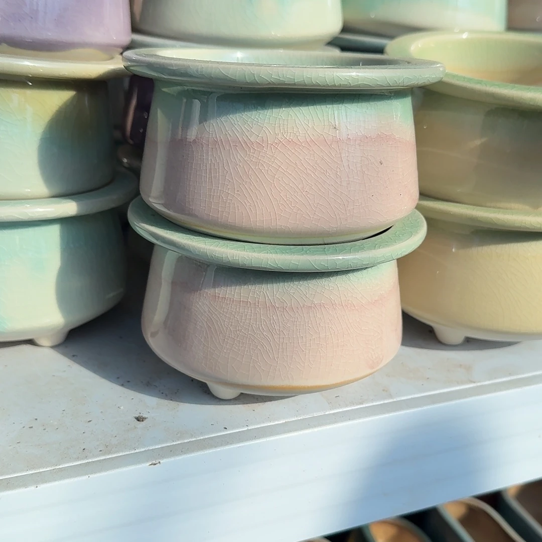 大口帽檐花盆多肉