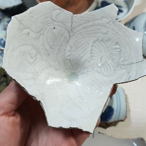 瓷片恣片瓷片瓷片瓷片瓷片