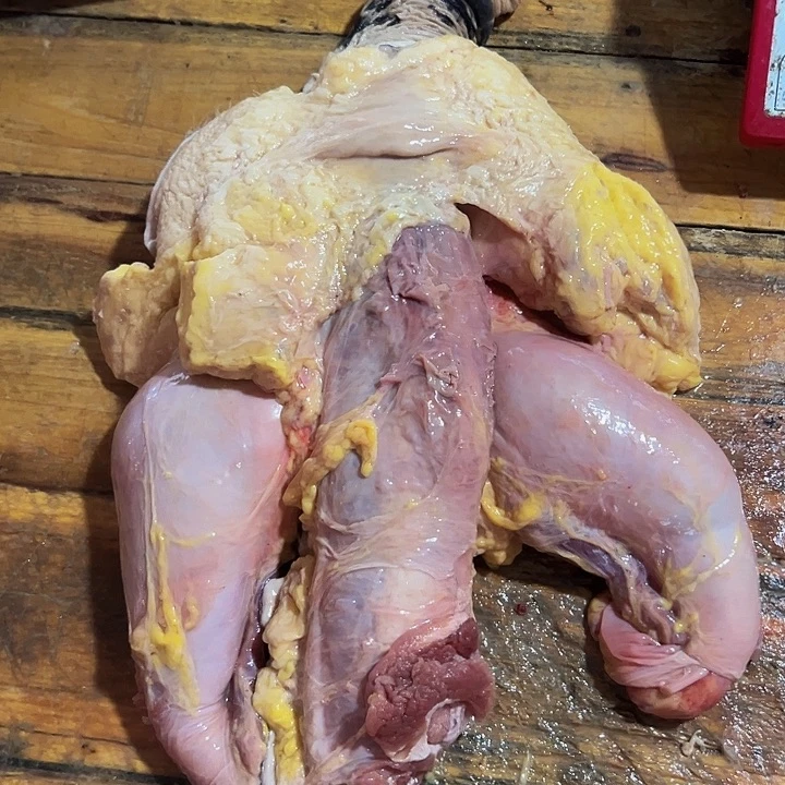 广西土耕马马肉、沙姜炒马肉中国大陆