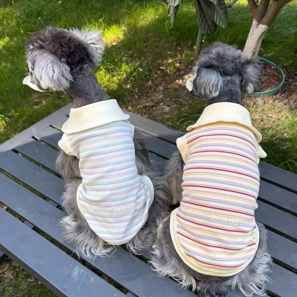狗狗衣服彩色条纹雪纳瑞比熊泰迪柴犬西高地宠物背心
