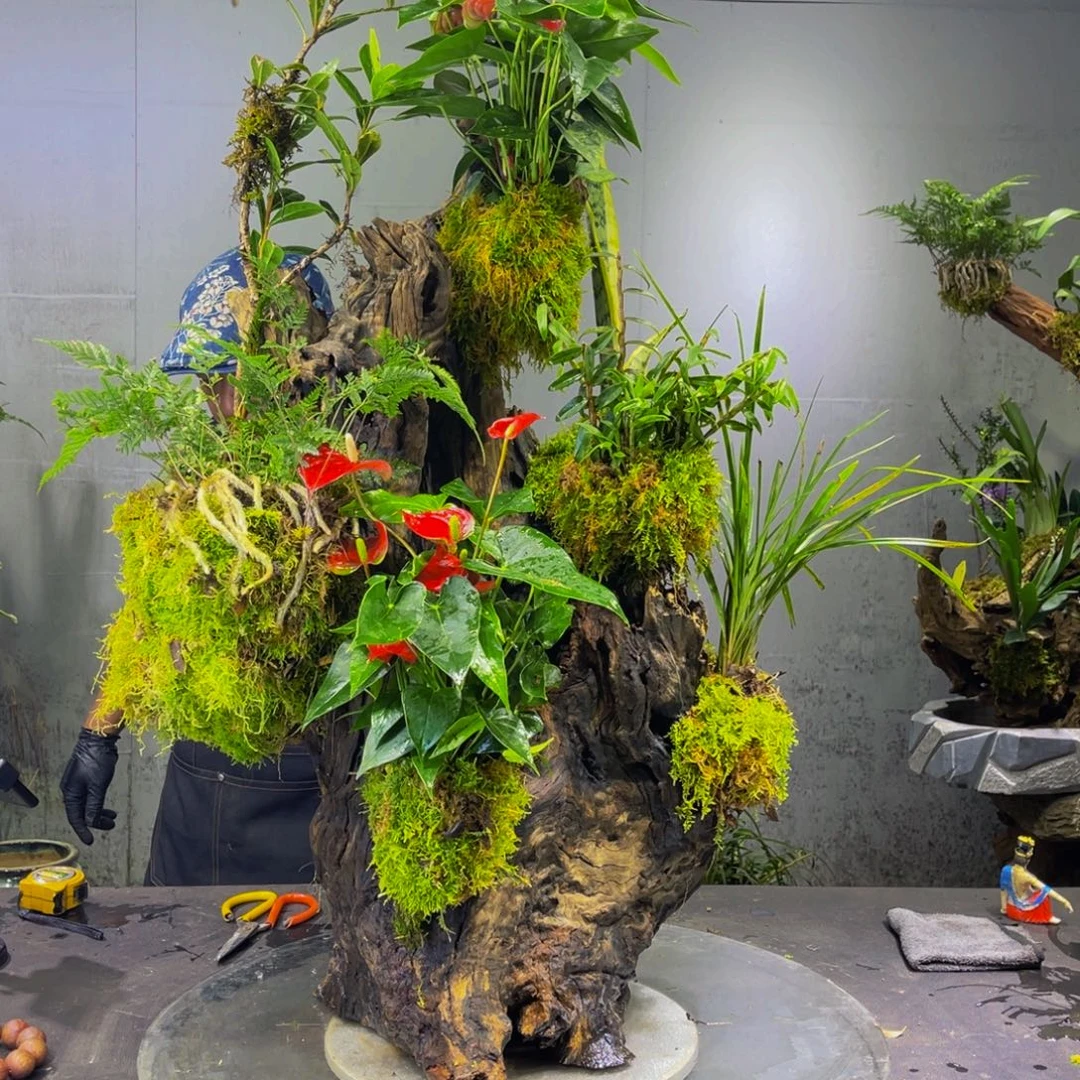 汕***彪完全开放11111111111111