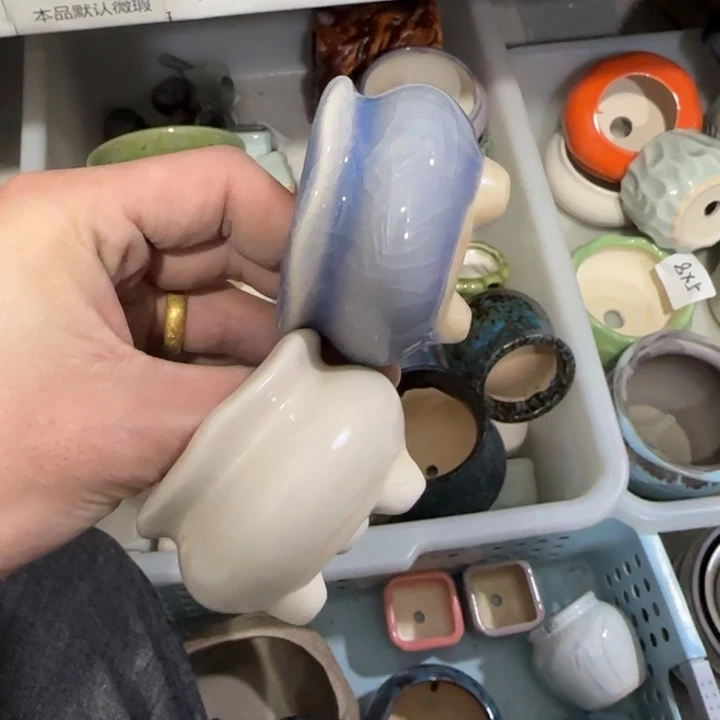 2《所有单满15发（花盆）》6×4