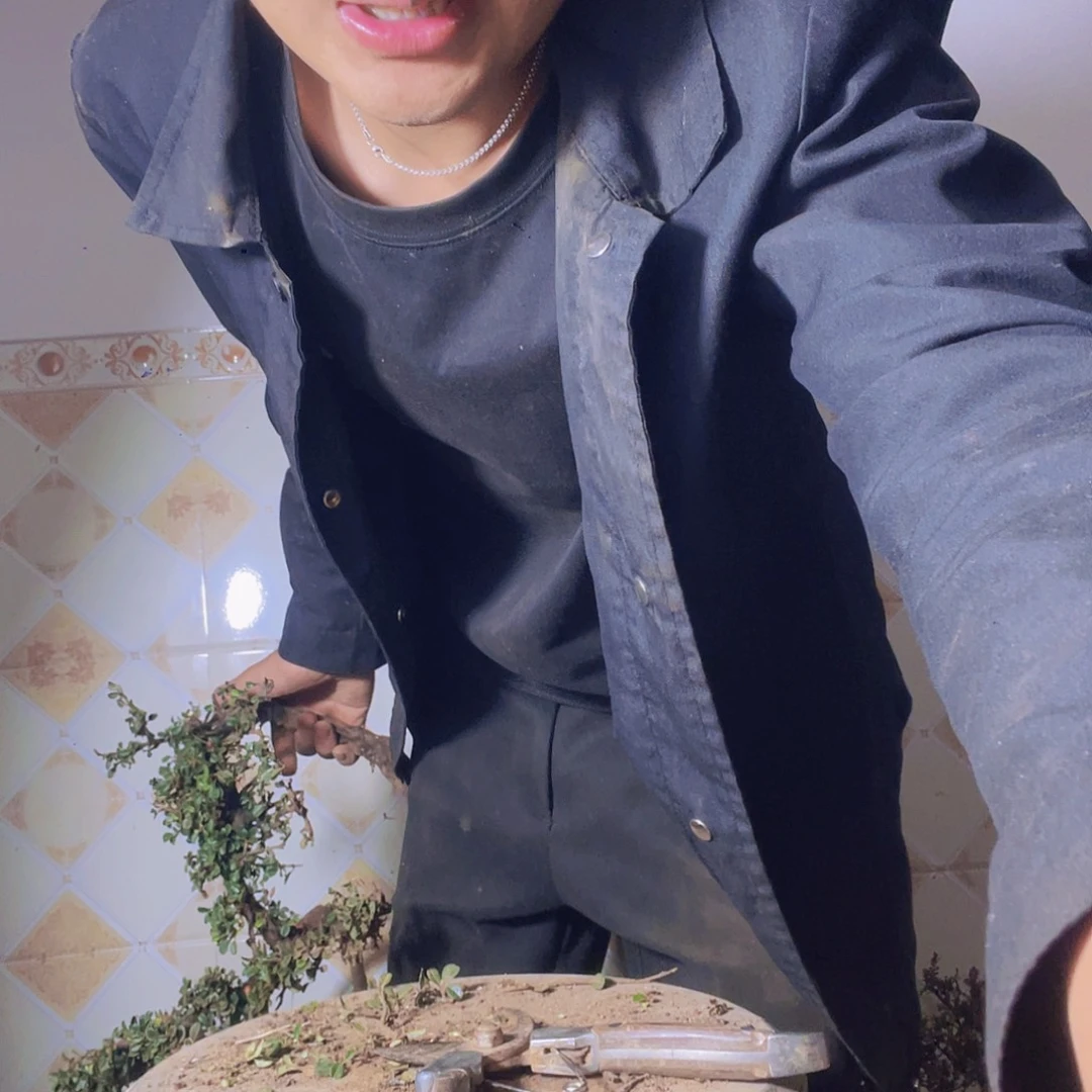 无花朵在炒菜吃饭对对对