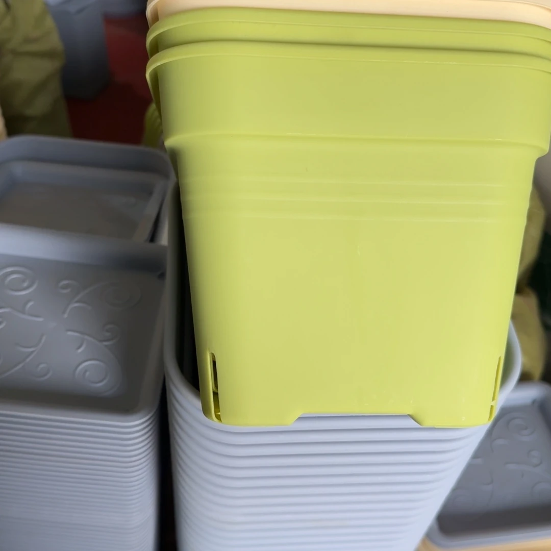 新款方盆口21带拖果绿5套