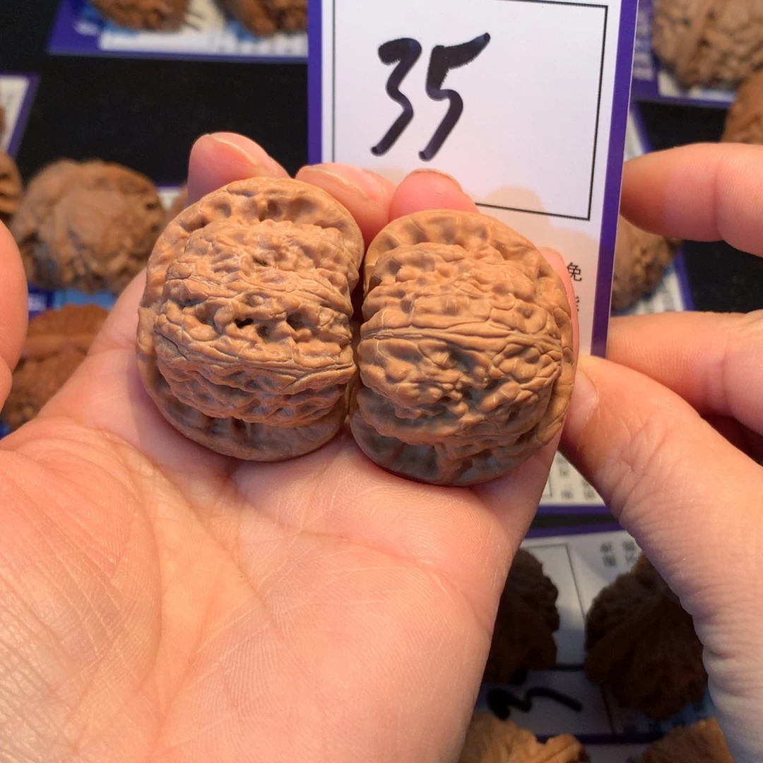 核桃35白狮子3.9全品