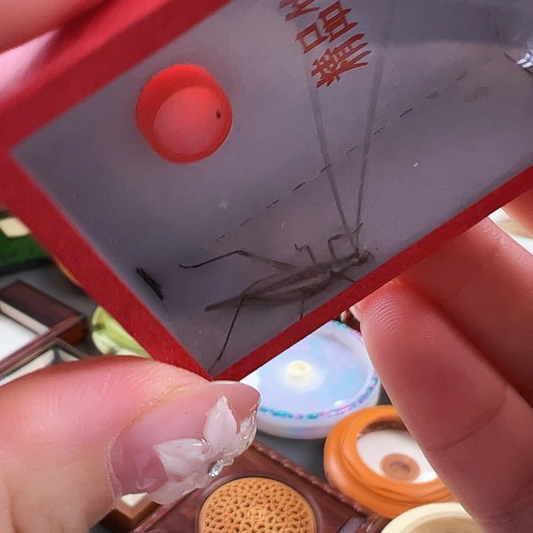 用***0哈哈哈哈哈紫竹两个