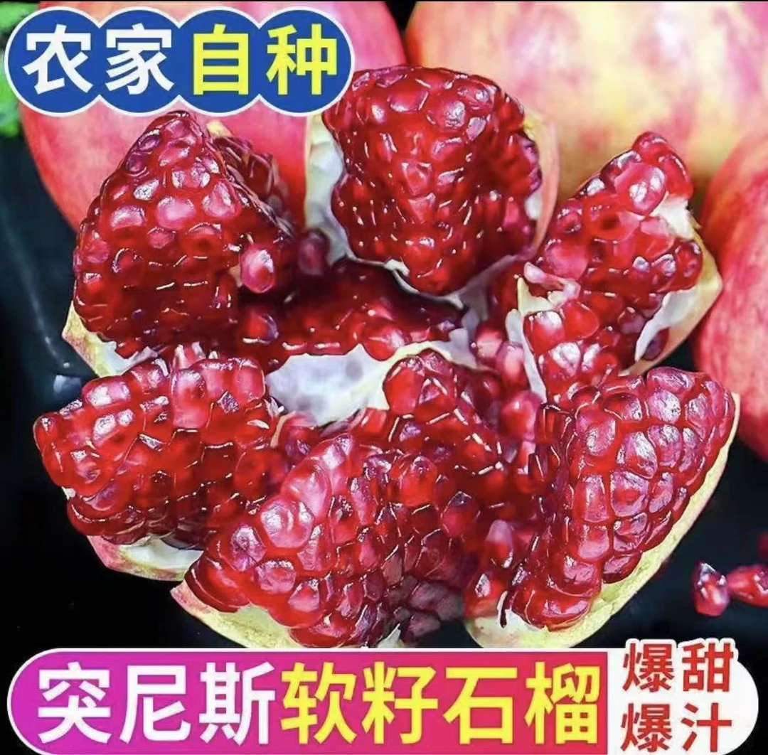 【爆甜】云南突尼斯软籽石榴现摘现发五斤装