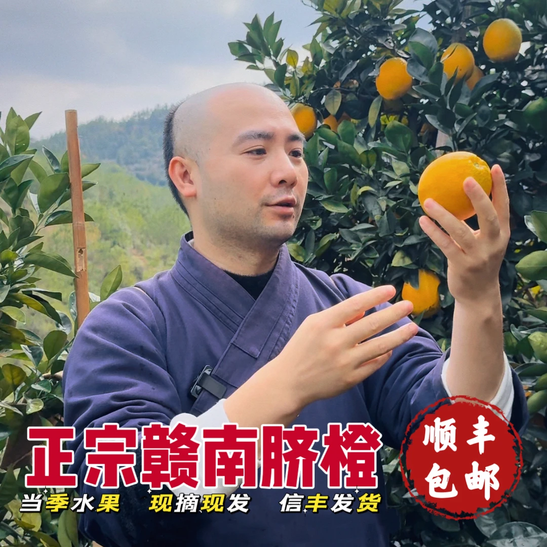 上古居仕溯源正宗赣南脐橙|当季水果带叶|产地现采现发|顺丰包邮