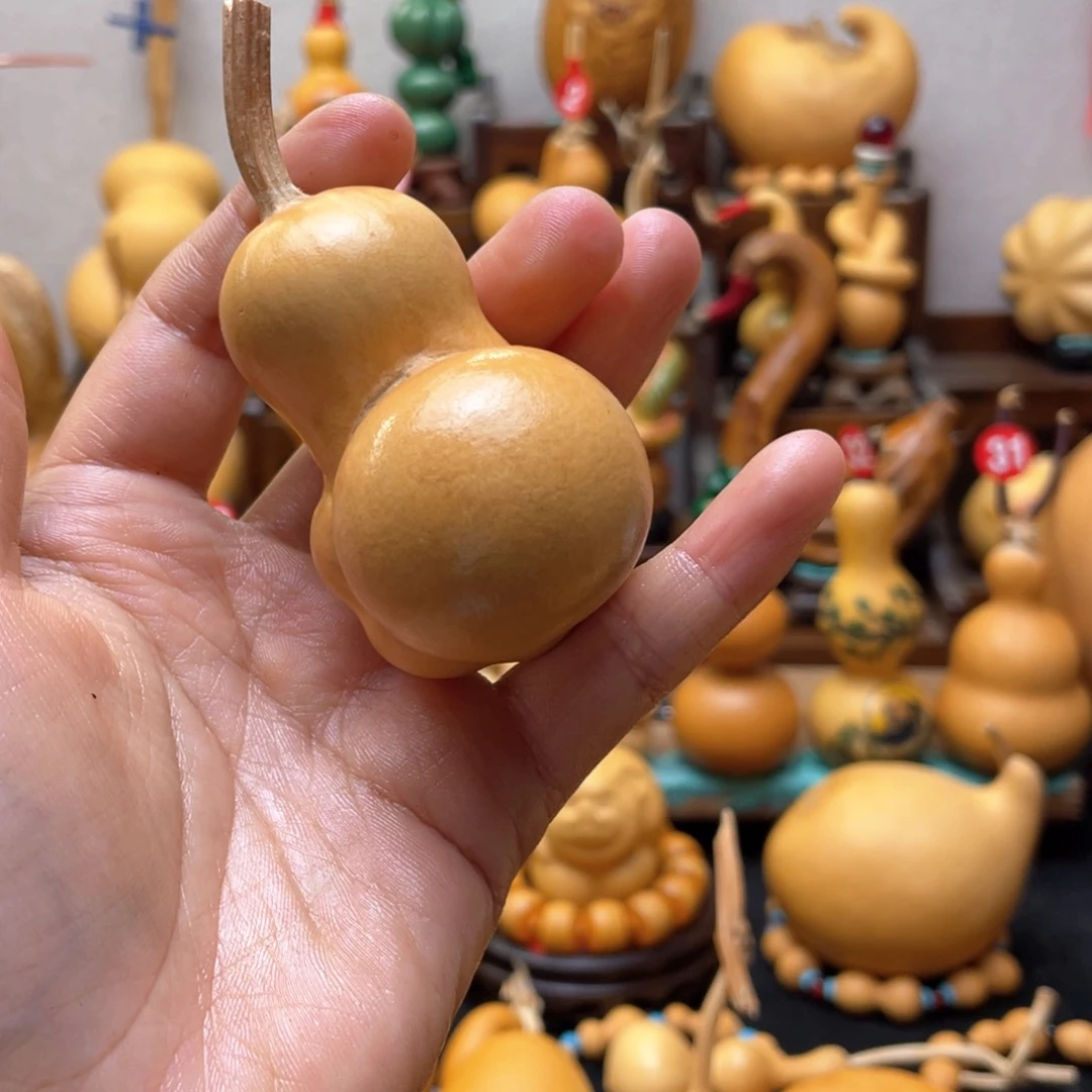 ?**乐大自然的秘密第十一节的秘密