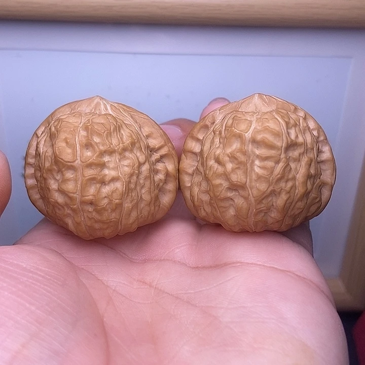 核桃全品小南瓜墩