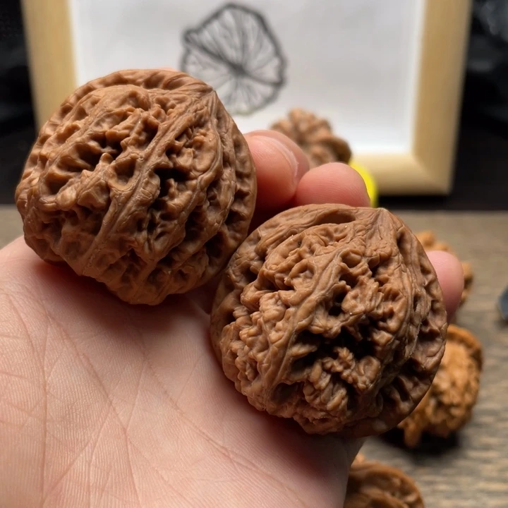 核桃粗筋文玩核桃