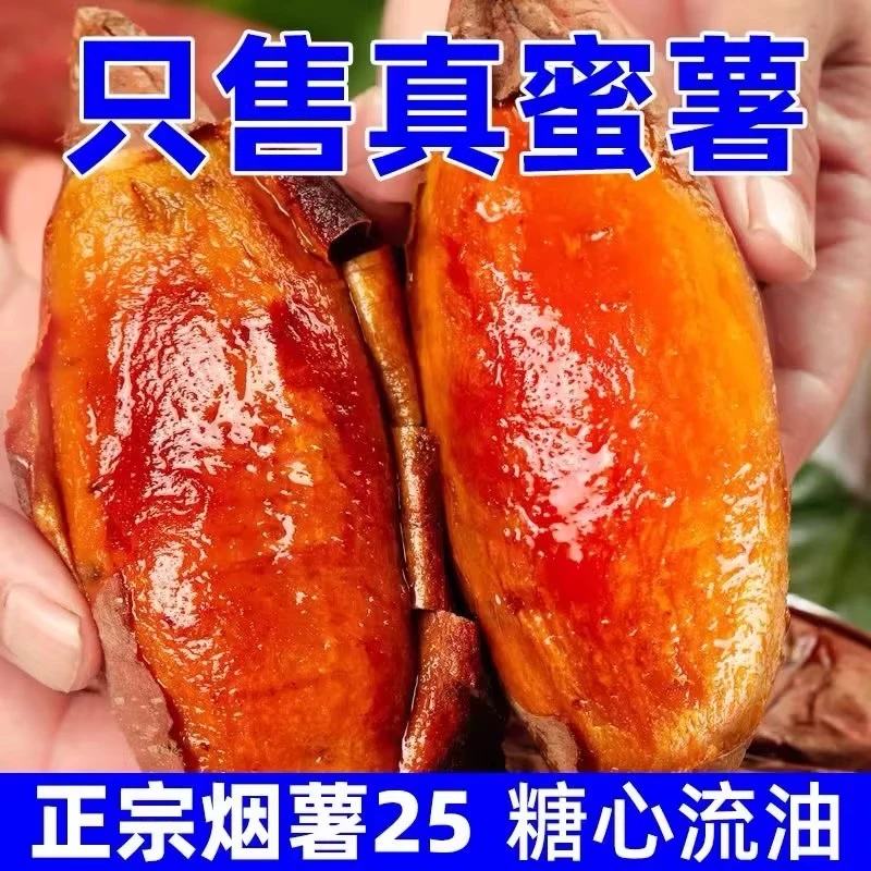 川渝隔日达—正宗烟薯25号烤红薯流油红薯番薯烟薯二五红薯烟薯25号山东省