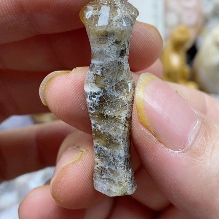 颈饰未镶嵌硅化珊瑚（珊瑚玉）有瑕
