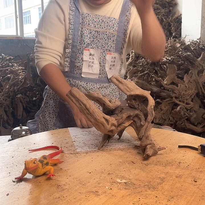 木333025 鱼缸造景根雕艺术231