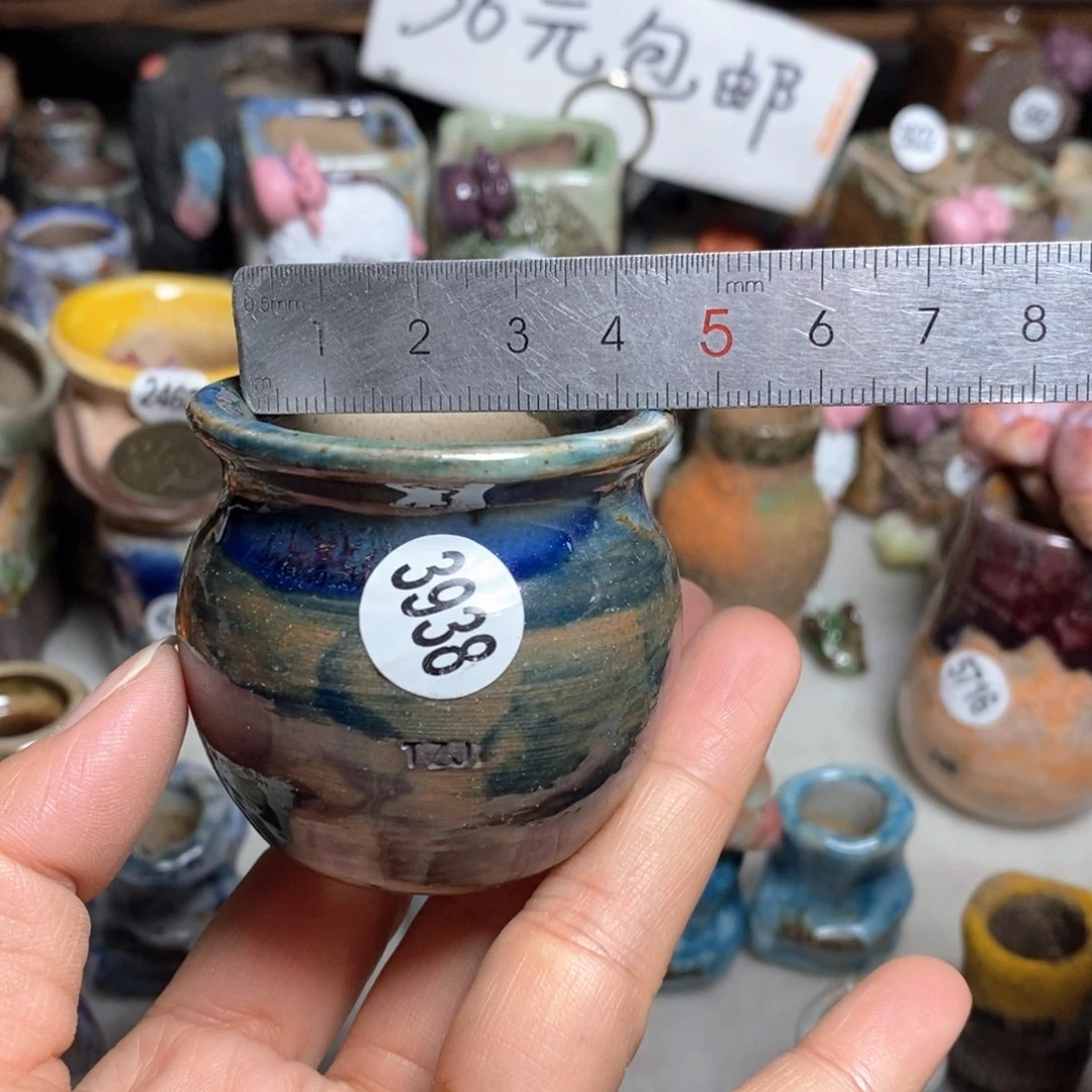 拍5送一个小礼物