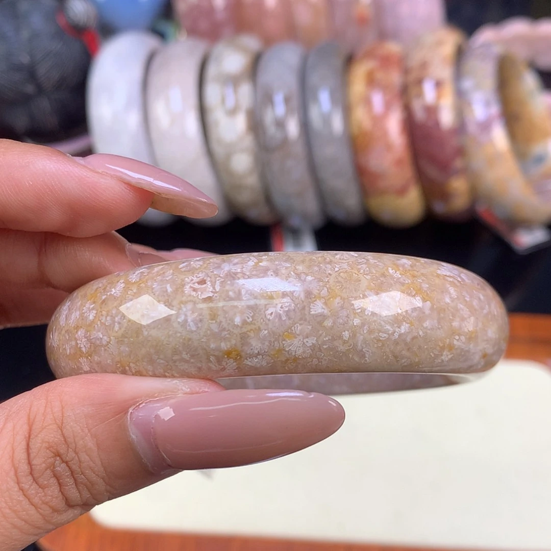【闪购商品】颈饰未镶嵌硅化珊瑚（珊瑚玉）23号 60.8