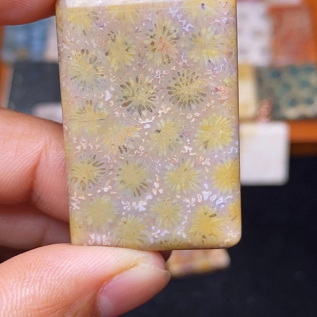 T***y硅化玉合金珊瑚玉