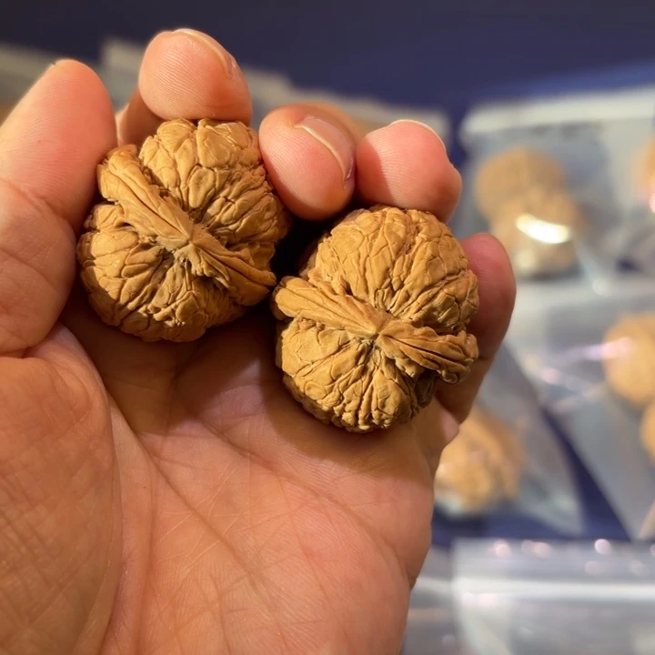 吊坠文玩核桃金甲蟾