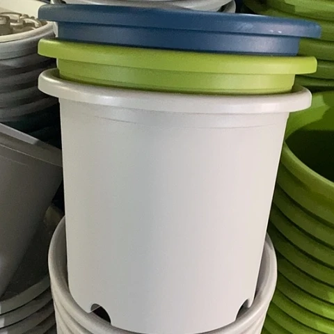 树脂特价6号7个无托灰白