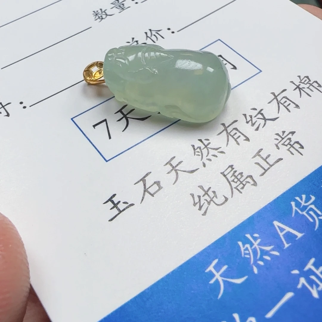 翡翠未镶嵌颈饰貔貅