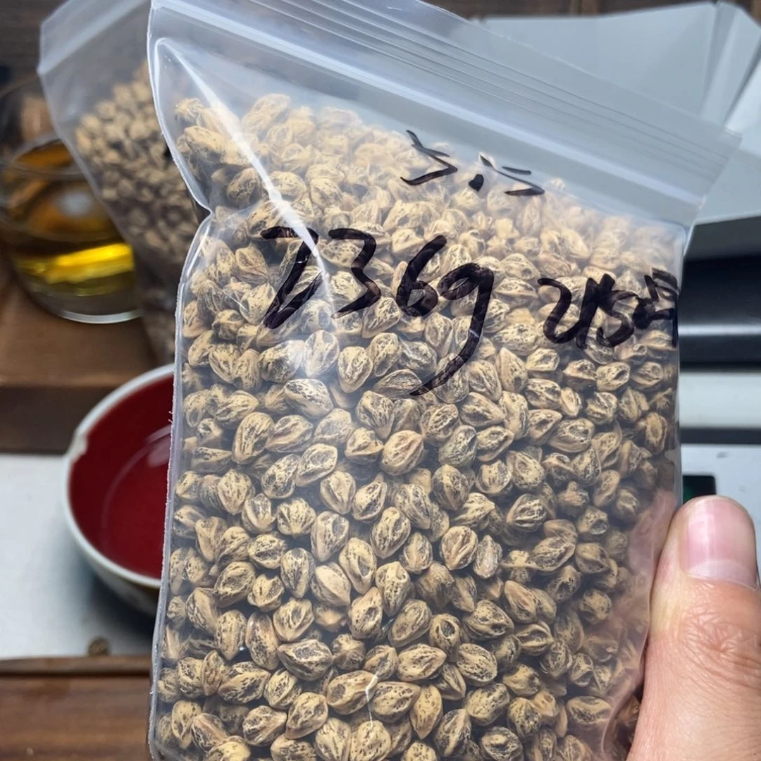 柏香籽/百香籽吊坠多*