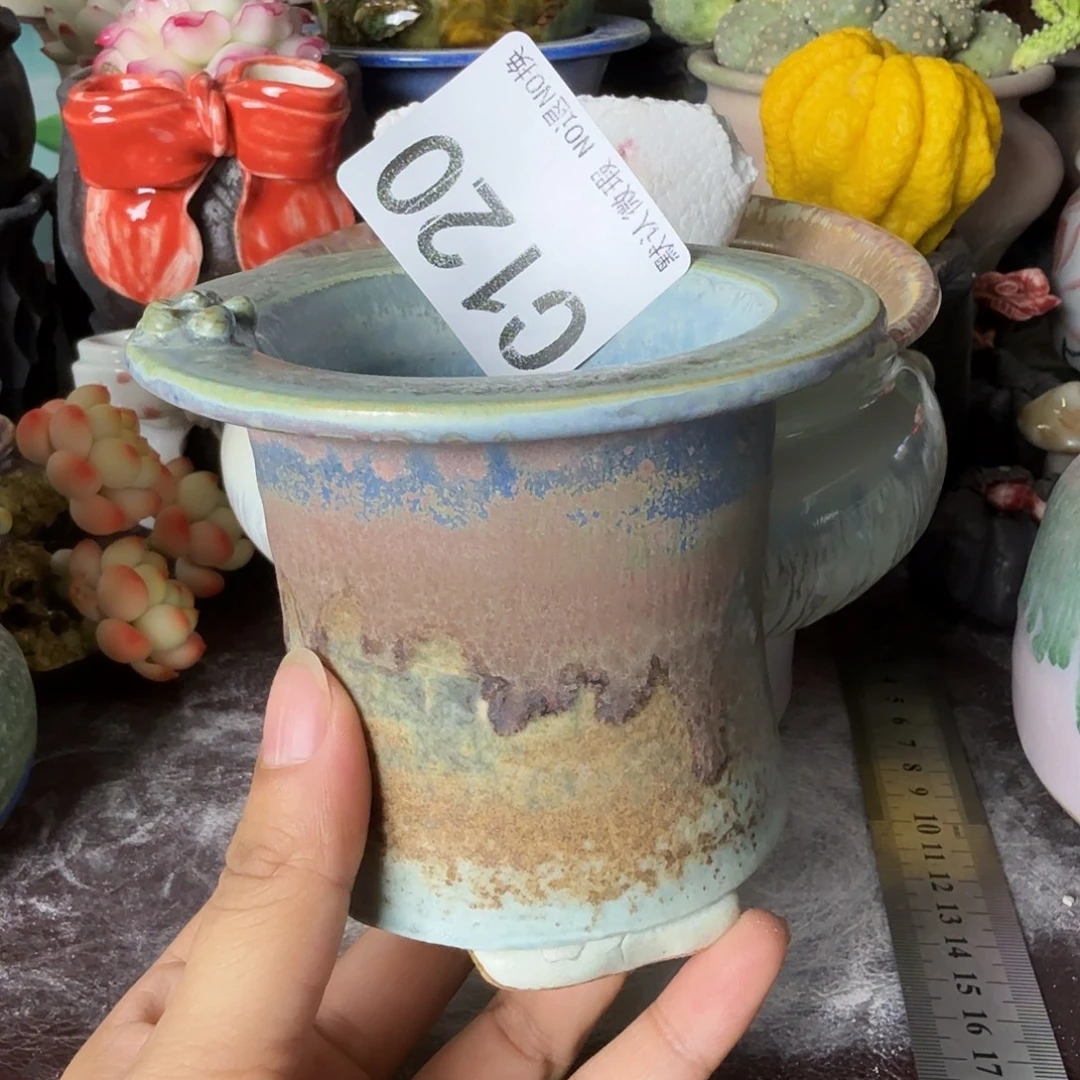 重庆小燕子欢迎大家120