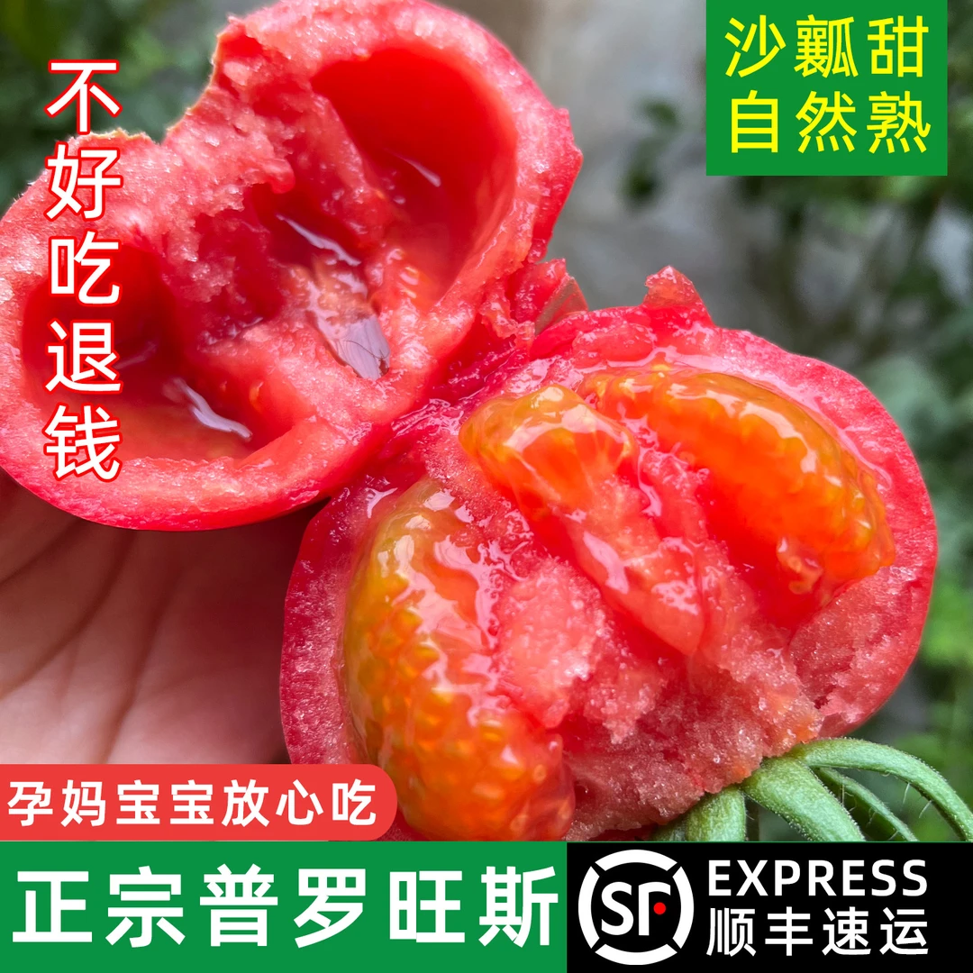 陕西泾阳普罗旺斯沙瓤西红柿露天圣女果新鲜自然熟水果农家小番茄