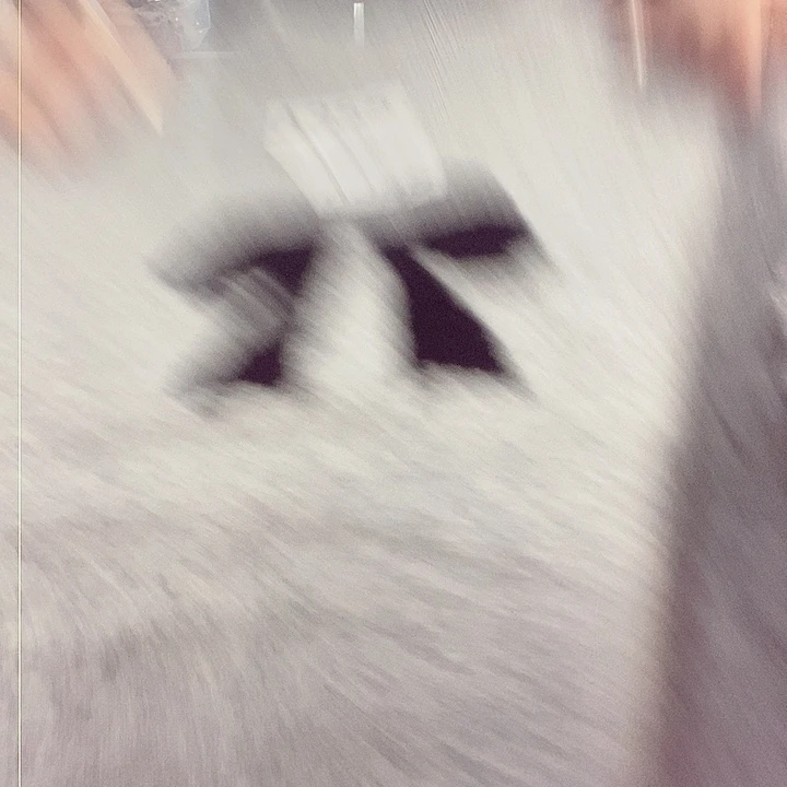 蝴蝶结灰色120尺码清仓
