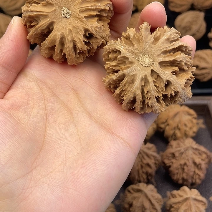 文玩核桃吊坠秦岭突突突突突突突突遇突突